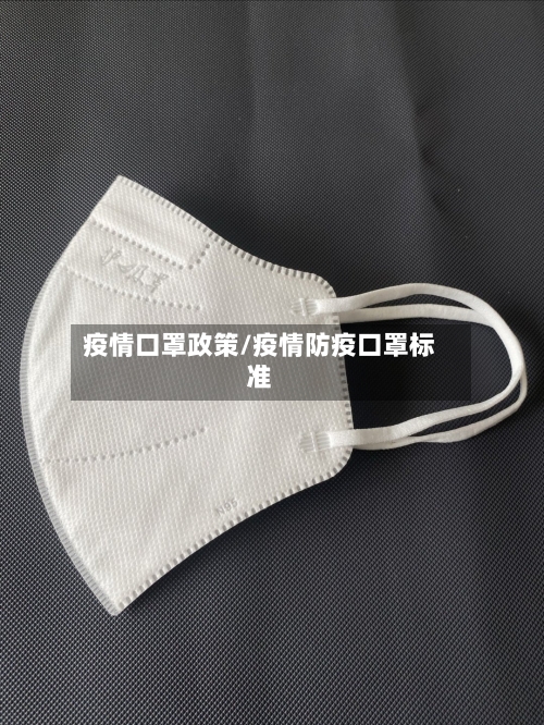 疫情口罩政策/疫情防疫口罩标准-第2张图片