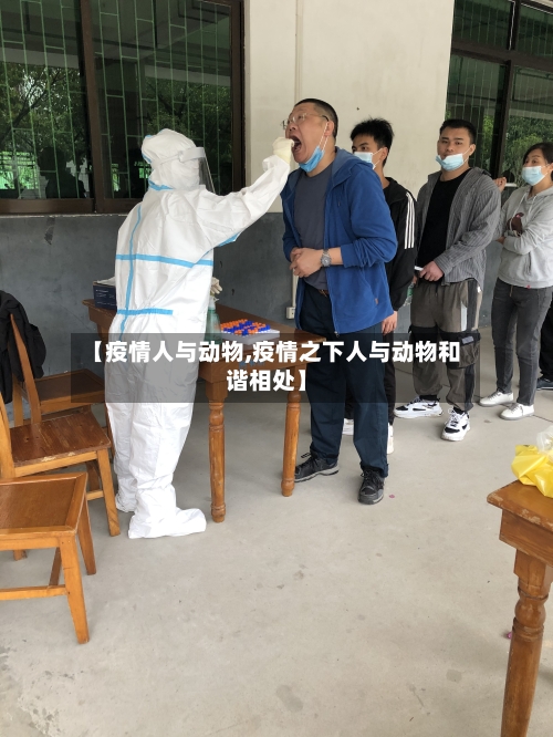 【疫情人与动物,疫情之下人与动物和谐相处】-第1张图片
