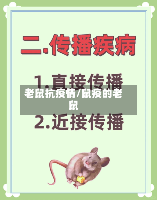 老鼠抗疫情/鼠疫的老鼠-第2张图片