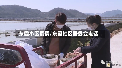 东霞小区疫情/东霞社区居委会电话-第2张图片