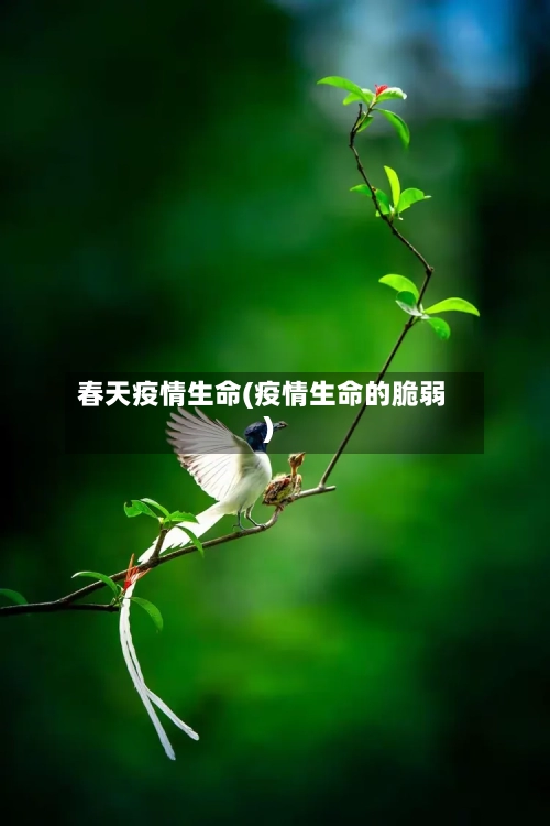 春天疫情生命(疫情生命的脆弱)-第1张图片