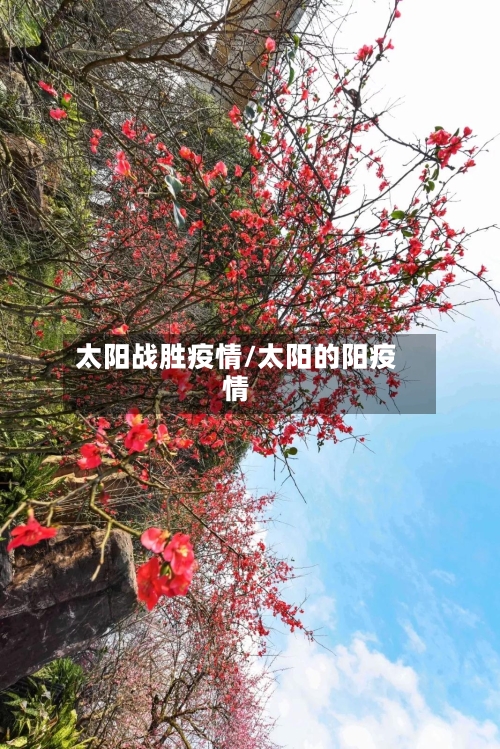 太阳战胜疫情/太阳的阳疫情-第2张图片