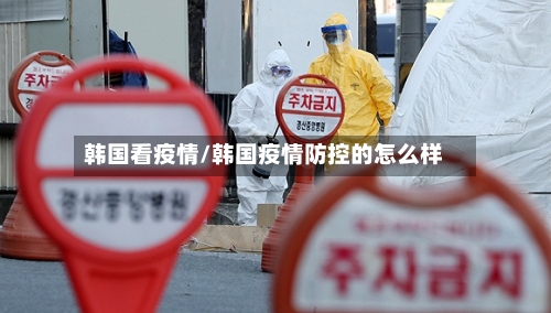 韩国看疫情/韩国疫情防控的怎么样-第1张图片