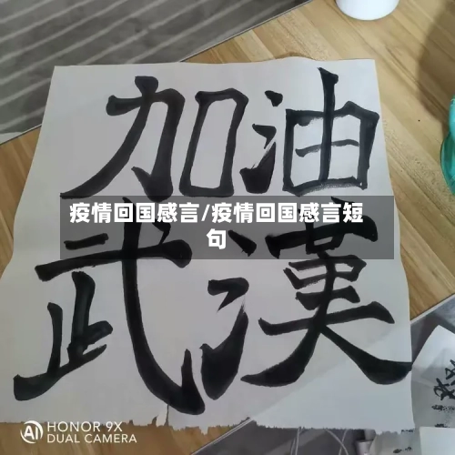 疫情回国感言/疫情回国感言短句-第3张图片
