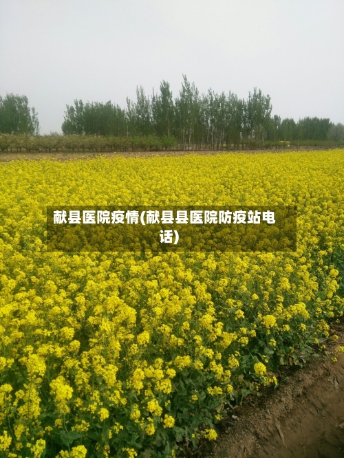 献县医院疫情(献县县医院防疫站电话)-第1张图片