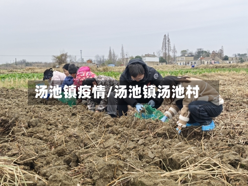 汤池镇疫情/汤池镇汤池村-第2张图片